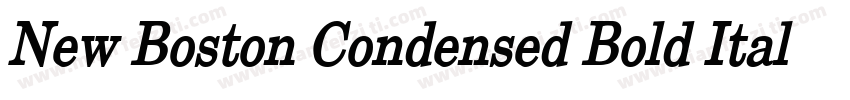 New Boston Condensed Bold Italic字体转换